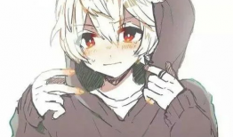 动漫 男,动漫中的热血少年传奇